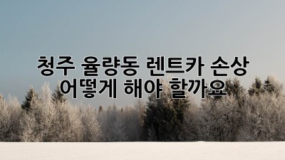 청주 율량동 렌트카 손상, 어떻게 해야 할까요?