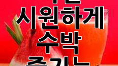 🍉 여름 대표 과일! 시원하게 수박 즐기는 건강꿀팁 🍉